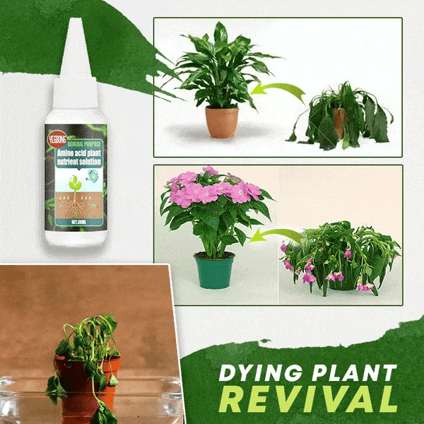 🌳2023The Best—Plant Nutrient Solution